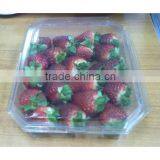 Clear PET Plastic Fruit Tray,blister Packing Box for Fruit thumbnail-1