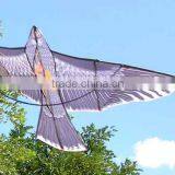Cheapest Eagle Kite