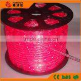 Christmas Lights of Steady LED Rope Lights( 2wires) for Holiday thumbnail-2