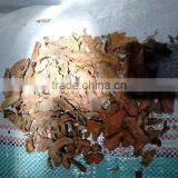 Dried Turmeric. We Are the Biggest Supplier From Indonesia thumbnail-2