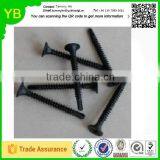 2016 New Top Quality Steel Screws and Nails Bulk Caps thumbnail-4