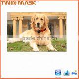 Mini Chip Gps Tracker for Persons and Pets With LED Light Collar