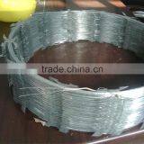 Hot Seller CBT-65 Stainless Steel Razor Barb Wire Fence Security thumbnail-1
