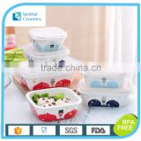 Porcelain food container 6 sets with lock for kids