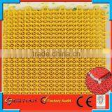 Customized Color Price Flooring Basket Ball New Arrival thumbnail-3