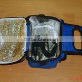 2016 Insulated cooler bag for frozen food