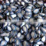 Supply Chinese Roasted Black Watermelon Seed With Good Flavor