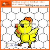 2016 New Product Anping Factory Chicken Coop Hexagonal Wire Mesh Netting Export