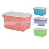 Trendy Colour Storage Box