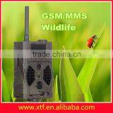 Wholesale Waterproof Digital Night Camera for Hunting hc 300m