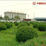 Hebei Jianzhi Casting Group Ltd. company overview - view 3 thumbnail