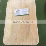 High Quality of New Square Shape Areca Plate Supplier in Malaysia / Singapore / Thailand thumbnail-2