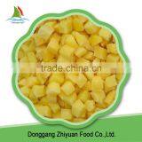 High Quality Bulk Organic Iqf Frozen Yellow Peaches for Exporting thumbnail-5