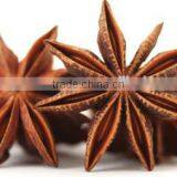 MANUFACTURER OF SPRING STAR ANISE