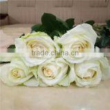 Most Selling Rose Flowers Cheap Cut Flowers Price Directly Import From Website thumbnail-5