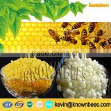 25 years experience factories organic beeswax