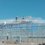 UV Resistant Plastic Film Greenhouse thumbnail-2