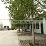 Zhengding Pantao Machinery Factory company overview - view 2 thumbnail
