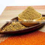 Coriander Powder thumbnail-1