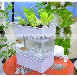 Mini Aquaponics System thumbnail-2