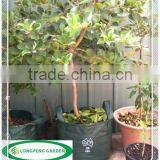 Polyethylene Bags In Green Colour With Logo Printed On Bags,Tree Bag