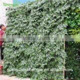 SJLJ013321 Artificial Grass Wall / Plastic Green Wall / Fake Plant Wall for Wall Decoration thumbnail-5