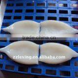 Frozen IQF Squid Tube thumbnail-2