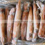 Frozen Argentina Squid(illex Squid) thumbnail-1