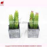 Artificial Mini Succulents Potted Succulent Plant Wholesale Small Succulent Plants thumbnail-5