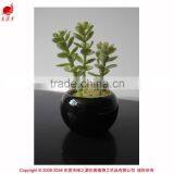 Artificial Succulent Plants Mini Artificial Plants Potted Artificial Mini Succulent Plants thumbnail-1