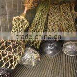 Lagerstroemia Indica 1.7m Trunk Height D5-6cm Flower Season thumbnail-5