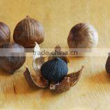 Zhengzhou Product Peeled Solo Black Garlic Packed With Organic Certificate thumbnail-4