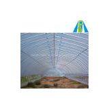 Modern Large Greenhouse for Agriculture thumbnail-1