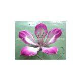 Chinese Handicraft Lantern for Festival Decoration_Flower Lantern thumbnail-3