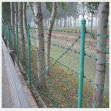 Barbed Wire Fence thumbnail-4