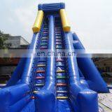 2017 Popular Design Top Quality Giant Inflatable Slide, Giant Inflatable Water Slide for Adult, Inflatable Jumping Slide thumbnail-3