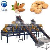 Almond Shelling Cracking Cracker Sorter Huller Machine Almond Production Line thumbnail-4
