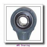 AMI Bearing