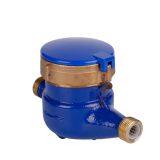 Horizontal Woltmann Water Meter Rotary Vane Wheel Liquid Sealed Water Meter