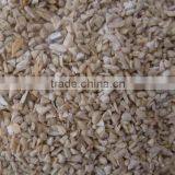 Bird Feed thumbnail-1