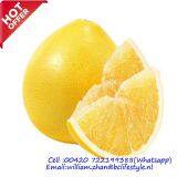 Pomelos thumbnail-1