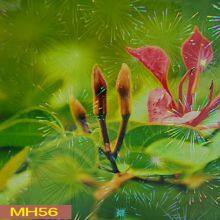 clarity holographic film cold lamination film holographic transparent
