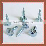 Flat Head Self Tapping Screw,self Tapping Screw thumbnail-1