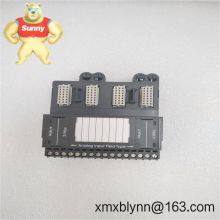 EMERSON VE4035S2B1 – Модуль интерфейса системы ввода-вывода для надежной интеграции сигналов DeltaV/Ovation thumbnail-4