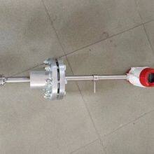 Insertion Vortex Flowmeter thumbnail-1