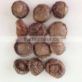 Polish Wild Dried Mushrooms thumbnail-3