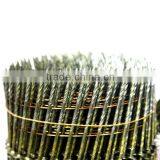 Coil Nails (factory)