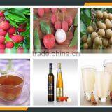 Leader High Quality Fruit Juice Refiner for Litchi thumbnail-5