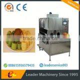Leader Low Price Kiwi Fruit Washing and Peeler Machine thumbnail-2