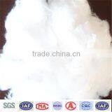 Polyester Staple Fibre thumbnail-4